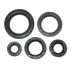 Oil Seals, Metric, Individual