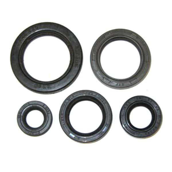 Oil Seals, Metric, Individual